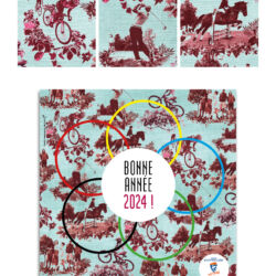 Création du visuel reprenant les principes graphiques de la toile de Jouy